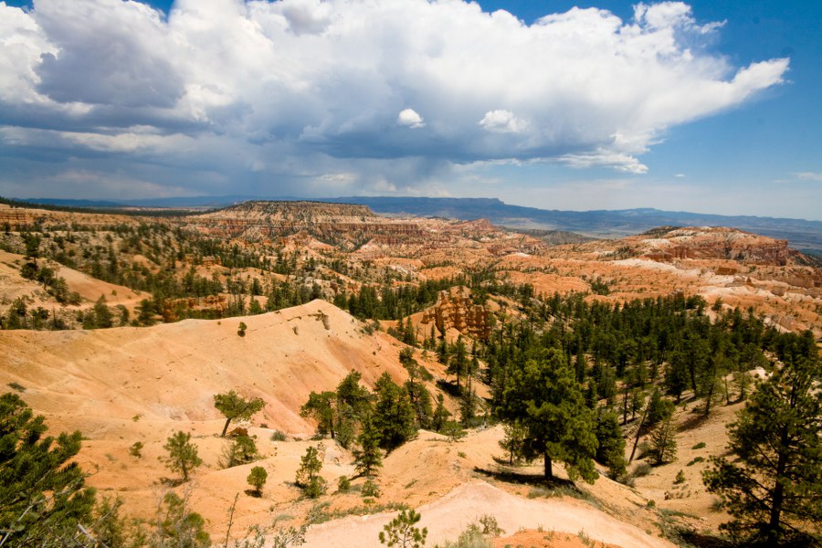 Auf dem Queens Garden Trail im Bryce Canyon NP