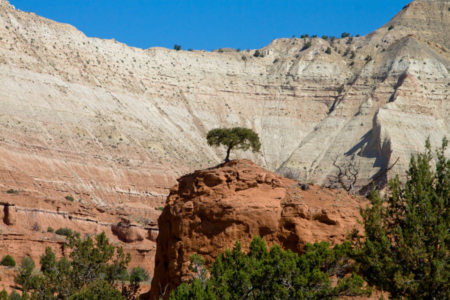 Im Kodachrome Basin State Park