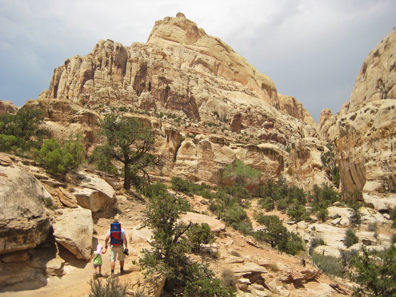 Wanderung im Capitol Reef NP zur Hickman Bridge