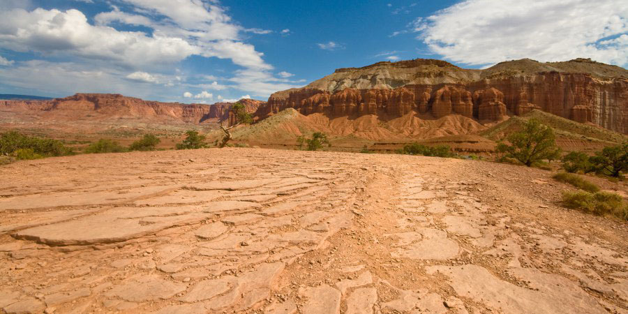 Im Capitol Reef NP
