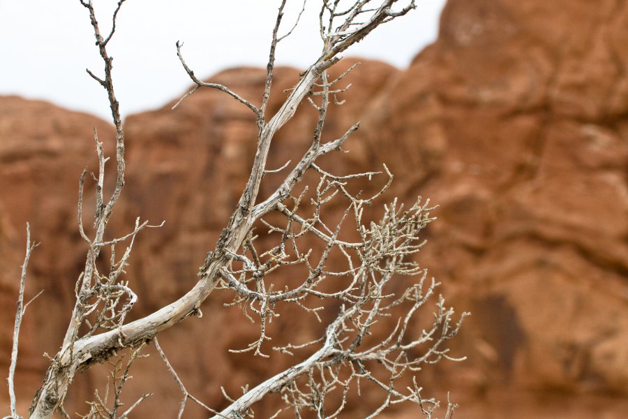 Im Arches NP