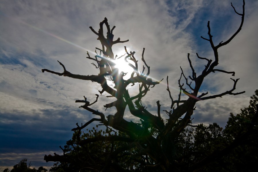 Im Canyonlands NP