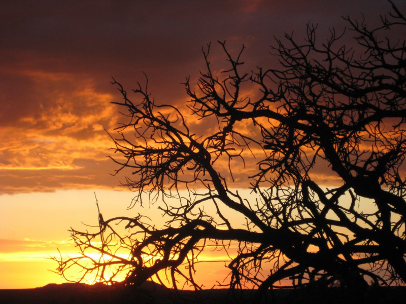 Sonnenuntergang im Dead Horse SP