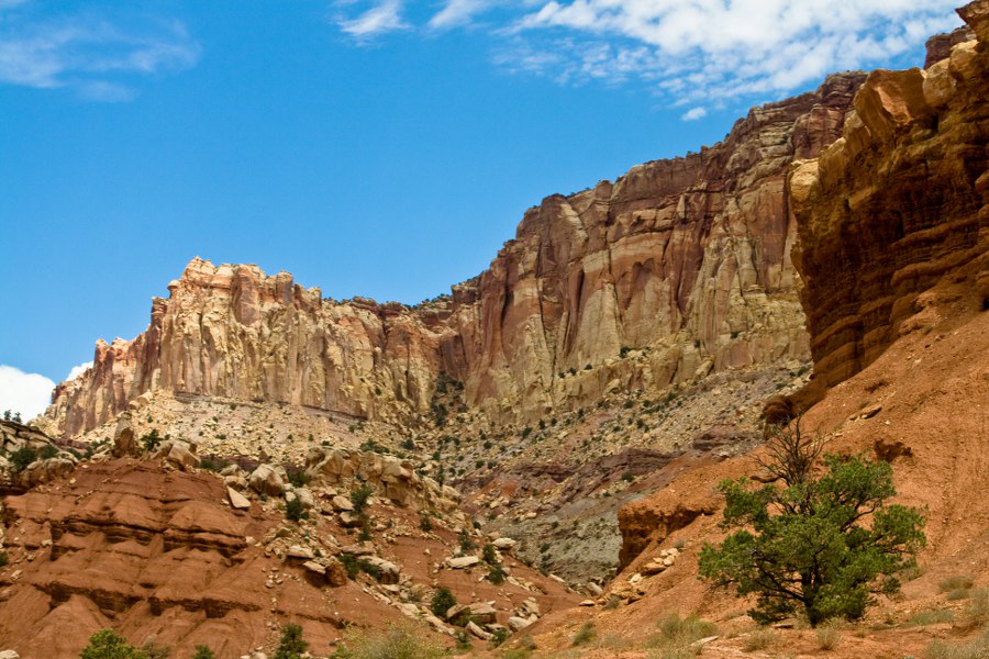 Im Capitol Reef NP