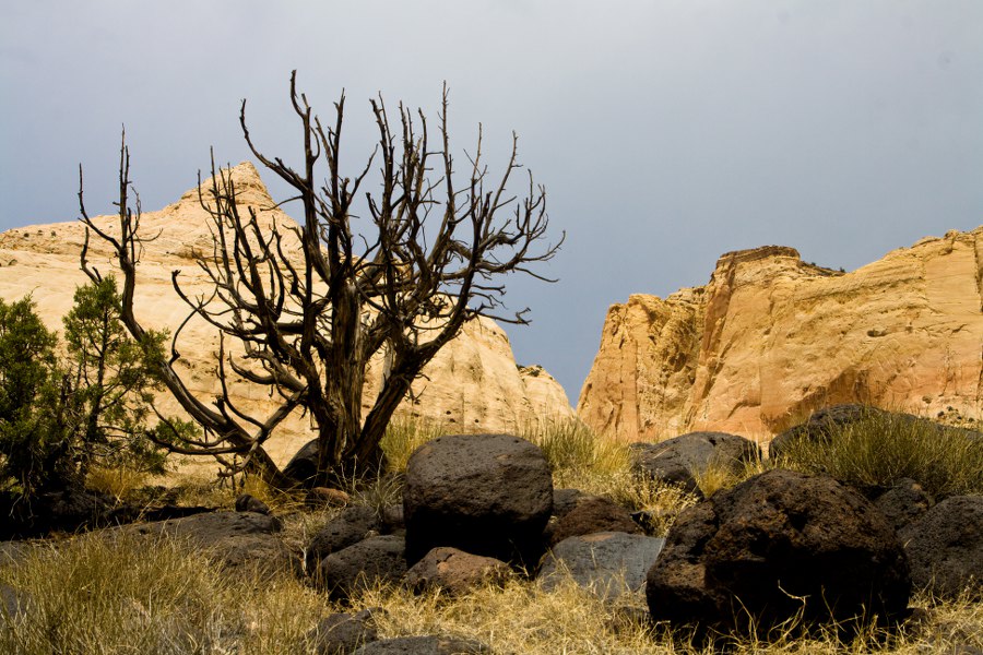 Wanderung im Capitol Reef NP zur Hickman Bridge