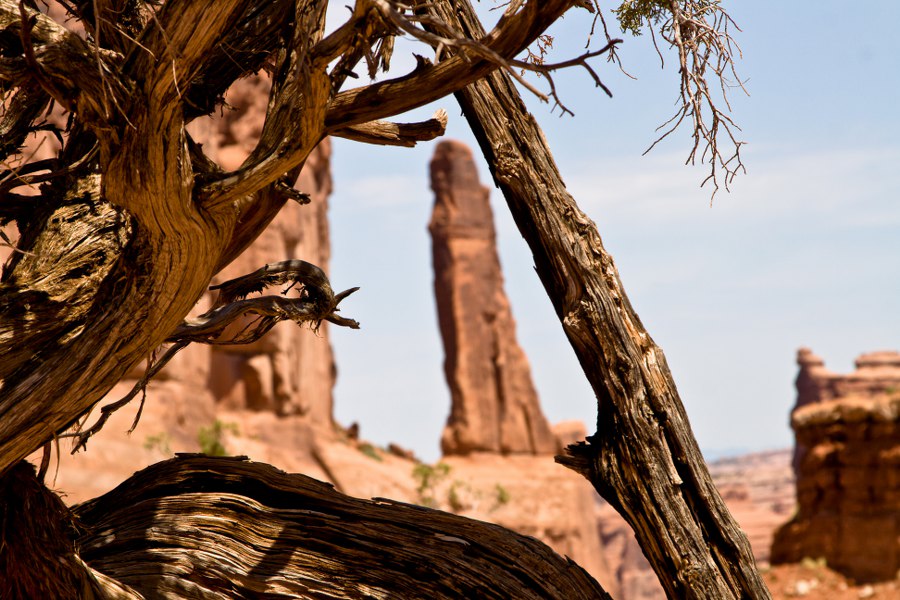 In der Park Avenue des Arches NP