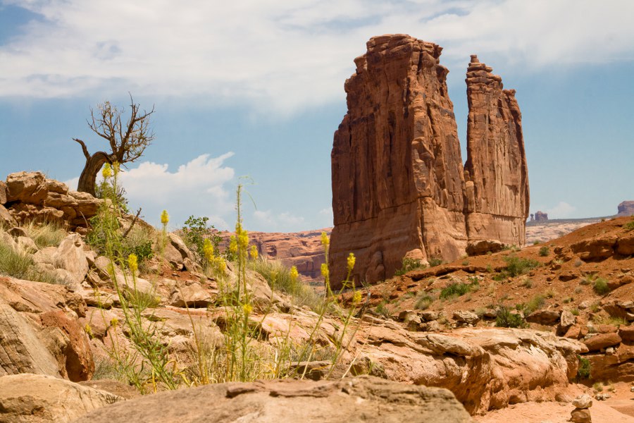 In der Park Avenue des Arches NP