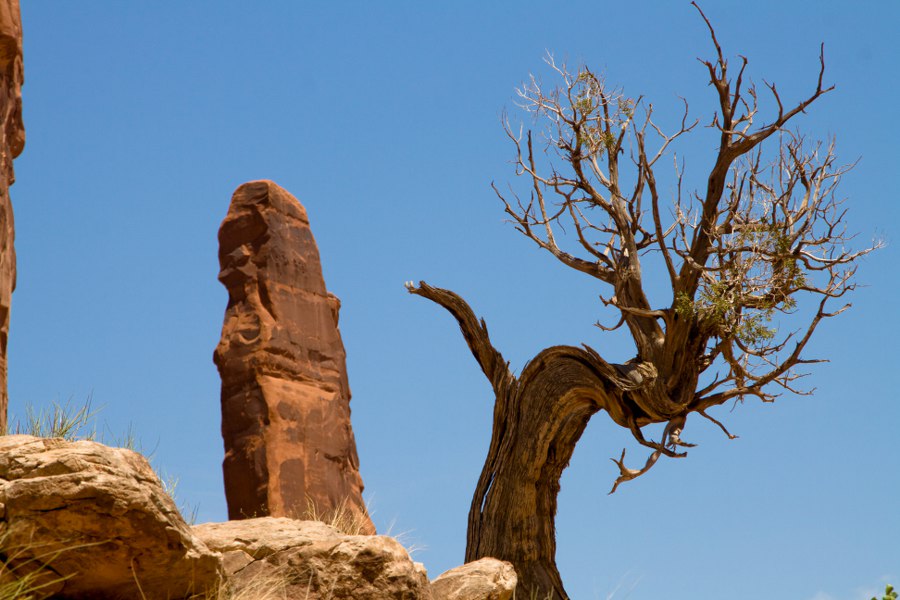 In der Park Avenue des Arches NP