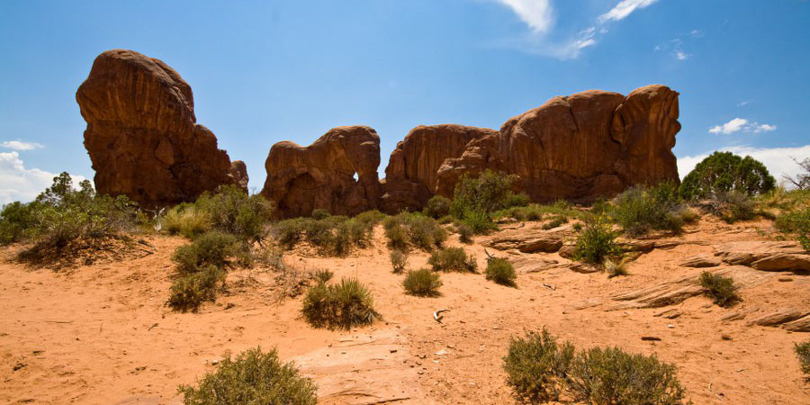 Die Elefanten-Parade im Arches NP