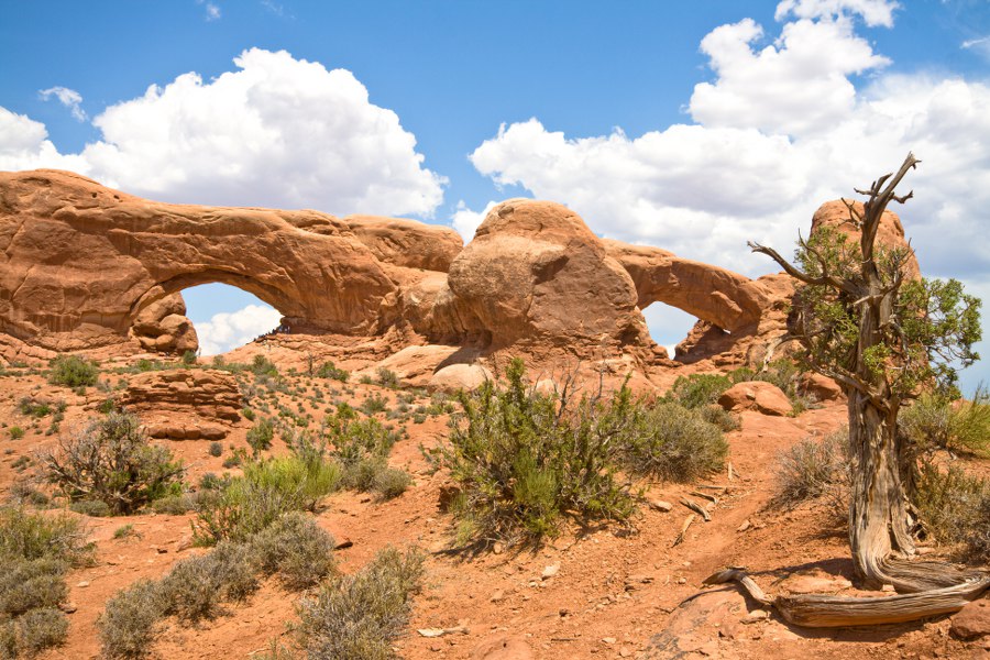Die Windows-Sektion des Arches NP