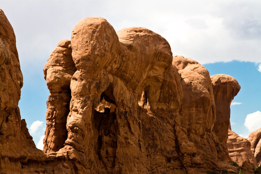 Die Elefanten-Parade im Arches NP