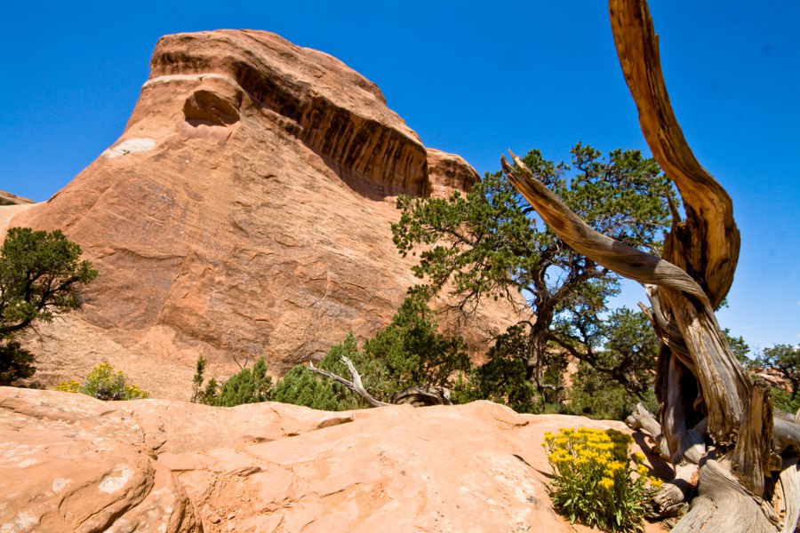 Wanderung zum Landscape Arch im Arches NP