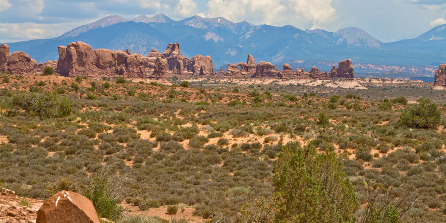 Blick auf die Windows Section