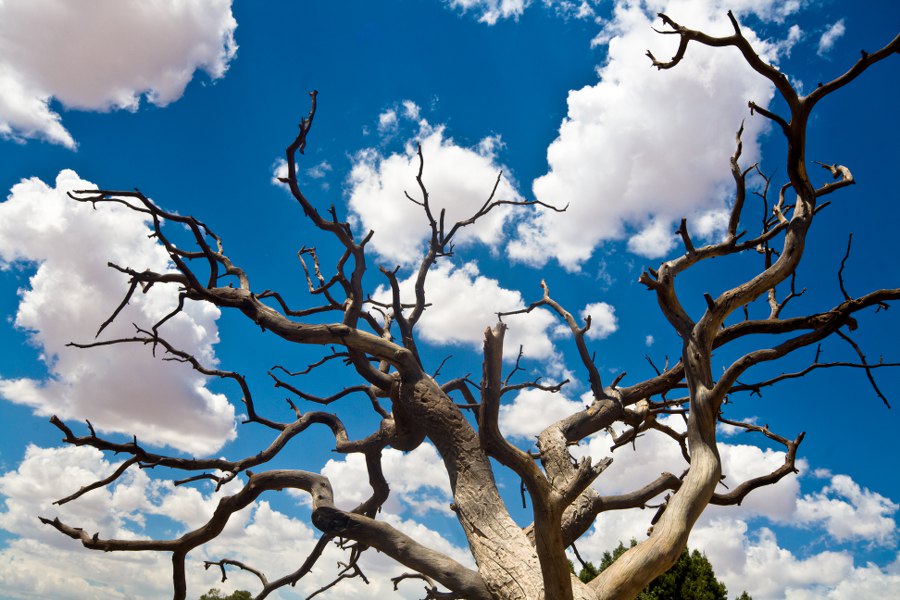 Impressionen in blau und weiß