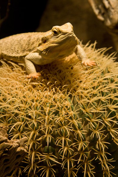 Im Denver Aquarium
