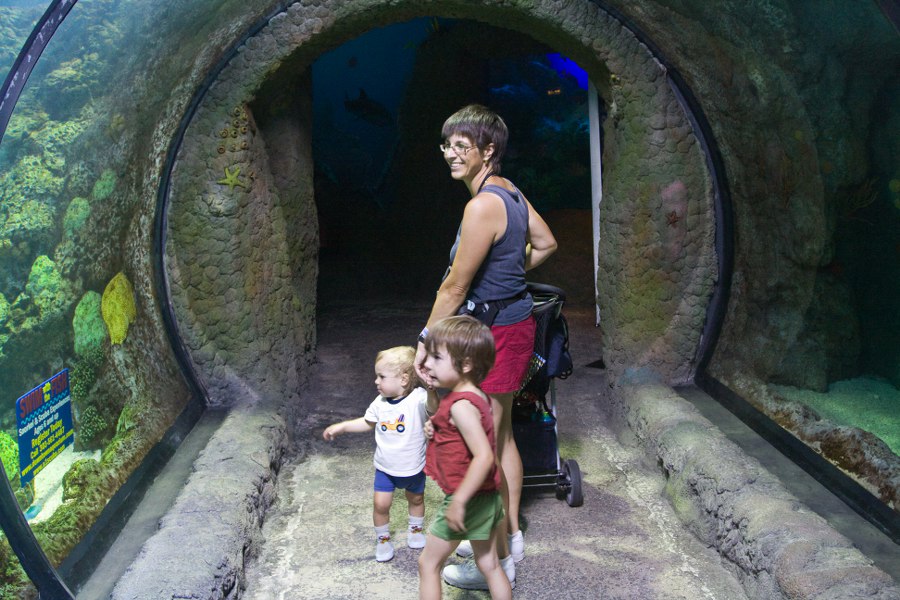 Im Denver Aquarium