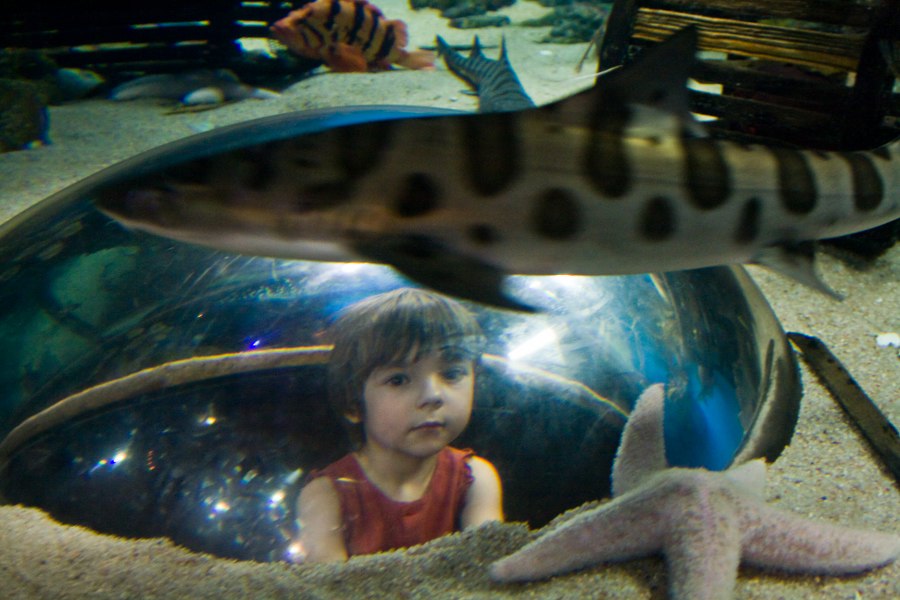 Im Denver Aquarium