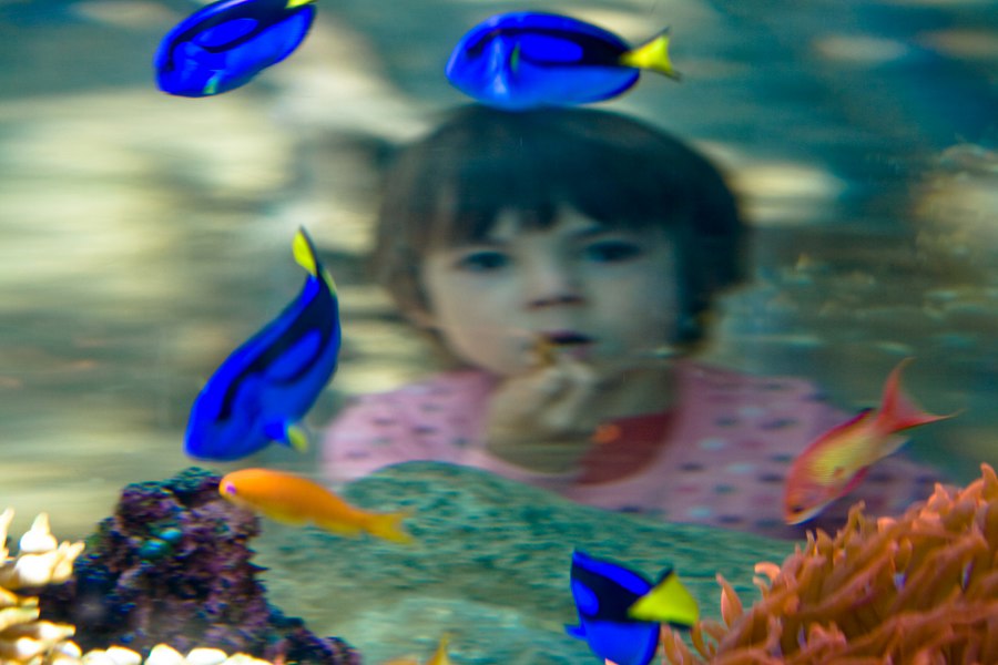 Im Denver Aquarium