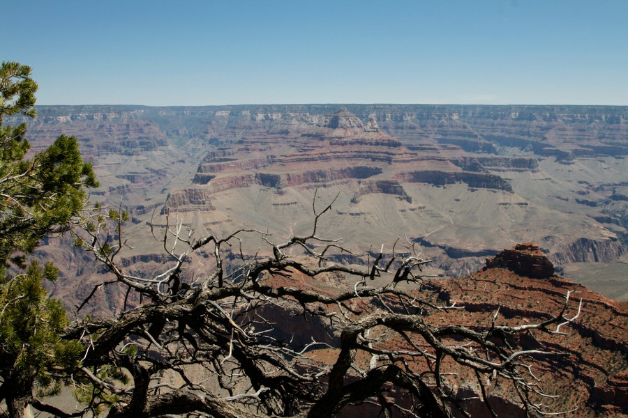 Der Grand Canyon