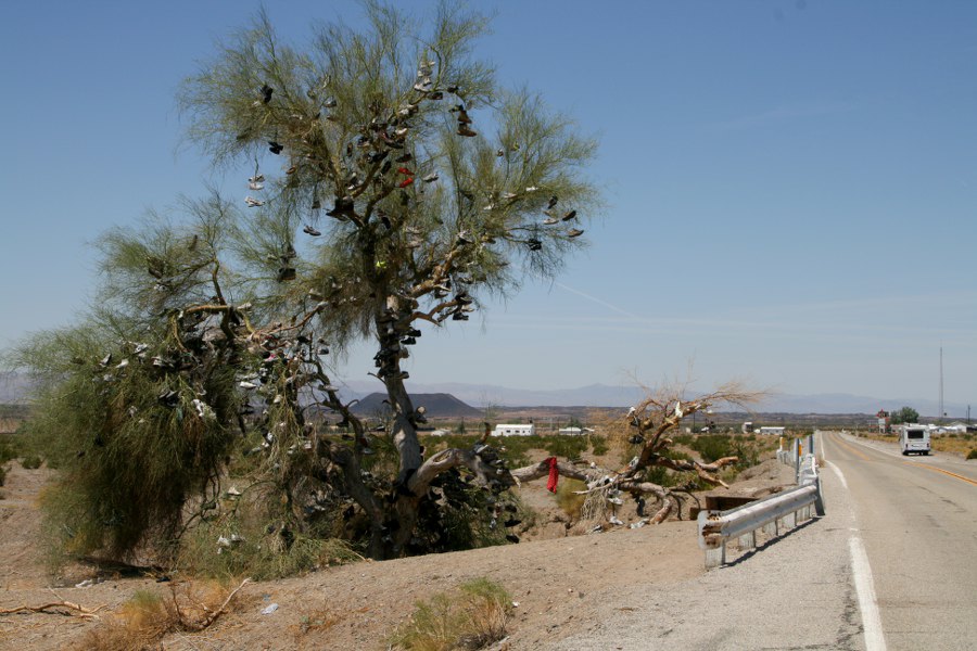 Ein Schuhbaum ... wenige Meilen zuvor gabs den BH-Baum.