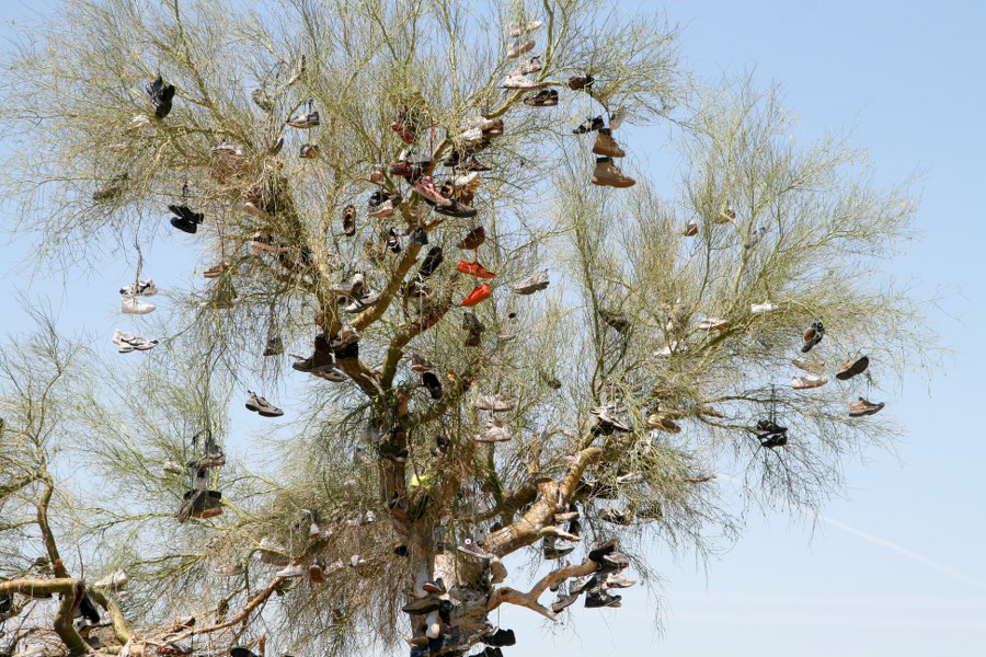 Schuhbaum... wir wissen nicht was er bedeutet.