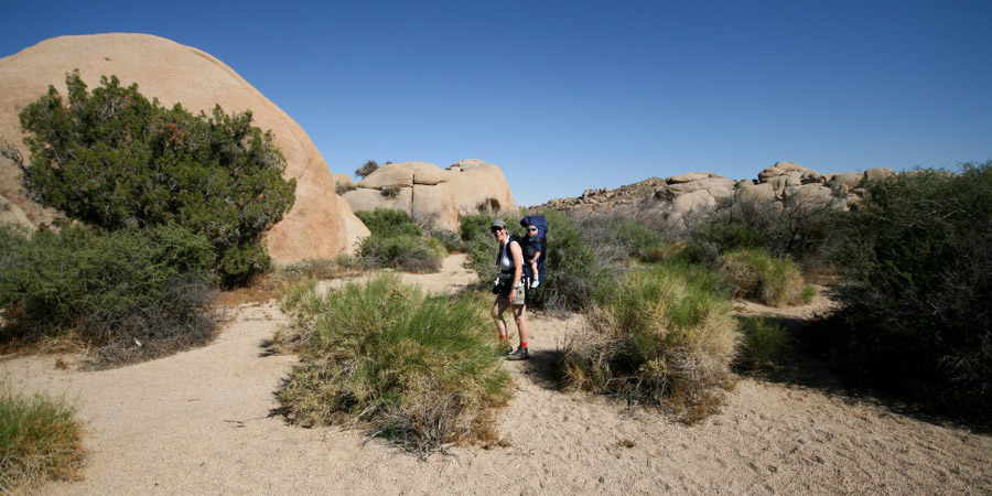 Auf der Wanderung vom Jumbo Rock CG zum Skull Rock