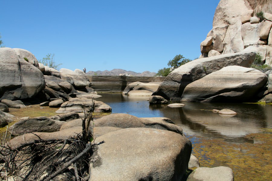 Der Barkers Dam im Joshua Tree NP