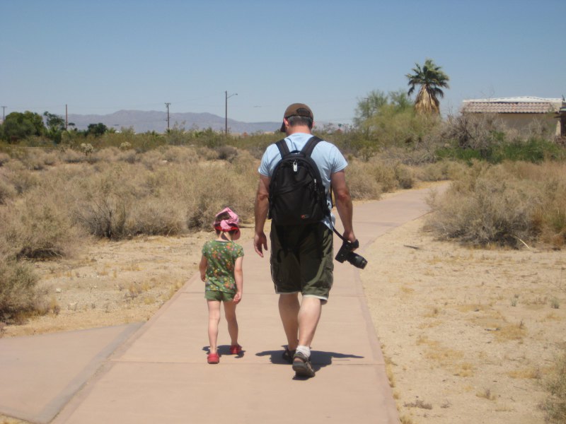 Auf dem kurzen Trail hinter dem Visitor Center des Joshua Tree NP