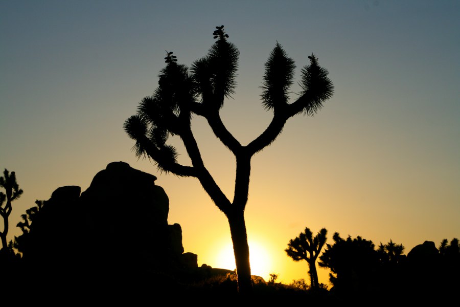 Abendstimmung am Hidden Valley Campground