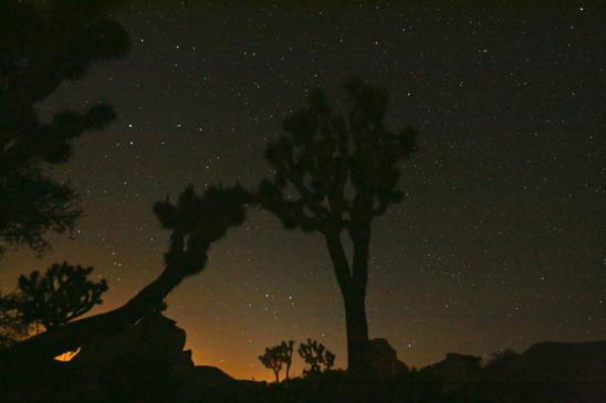 Nachts am Hidden Valley Campground (Kamera auf den Boden gelegt und 30 Sekunden belichtet)