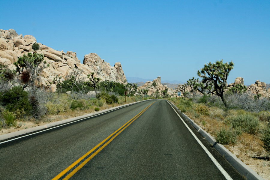 Morgens im Joshua Tree NP