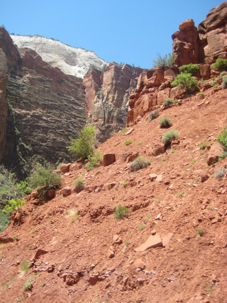 Im Zion NP