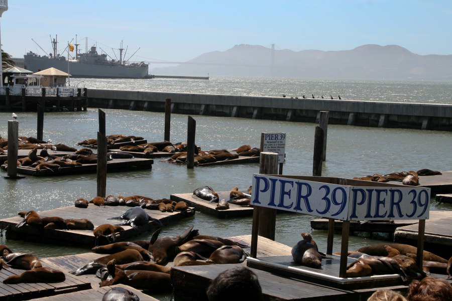 Pier 39 in San Francisco