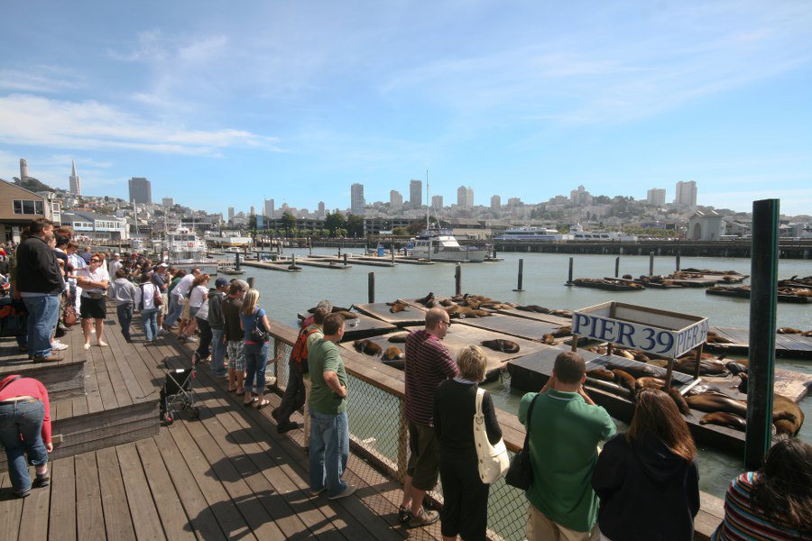 Pier 39 in San Francisco