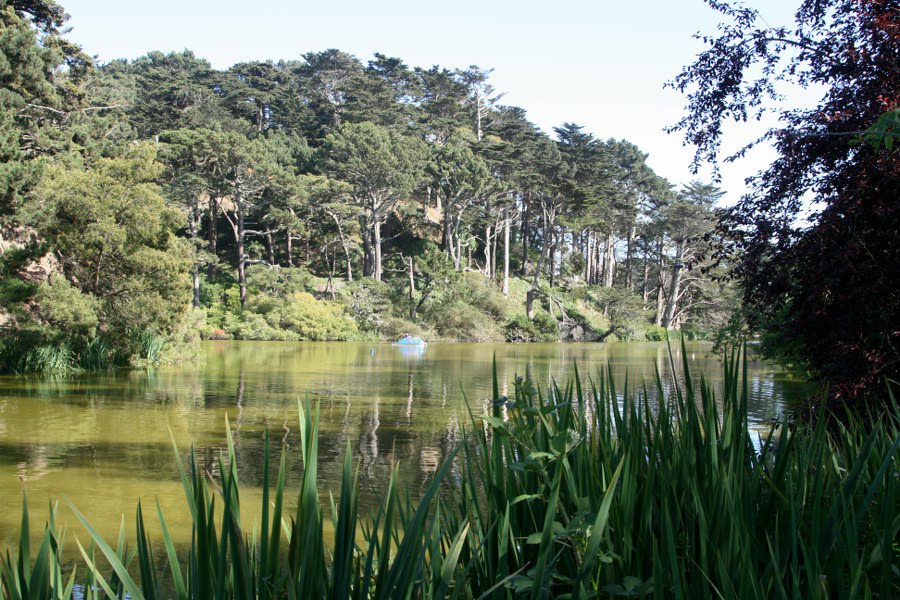 Im Golden Gate Park