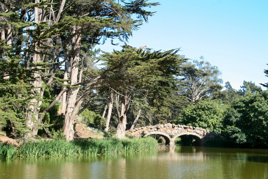 Im Golden Gate Park