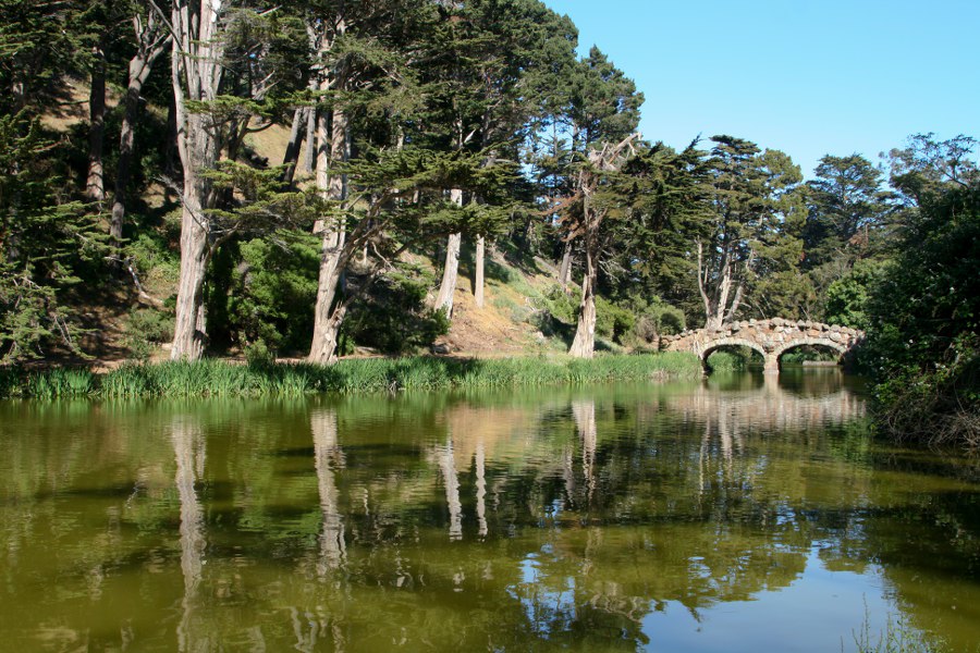 Im Golden Gate Park