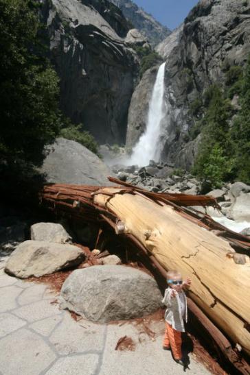 Die Lower Yosemite Falls