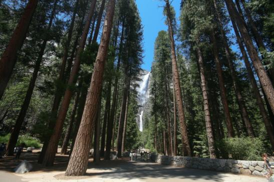 Die Upper und Lower Yosemite Falls