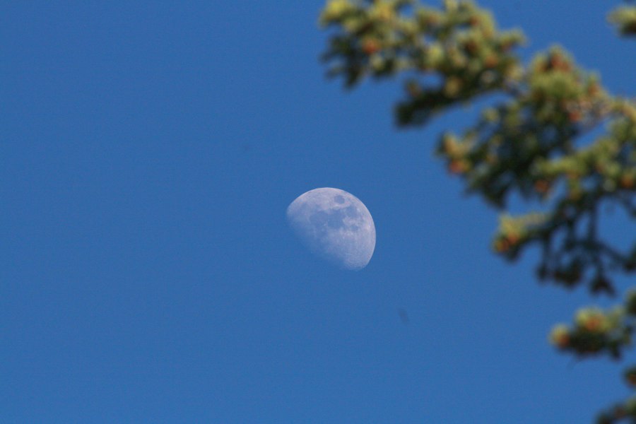 Moonlight over Yosemite NP