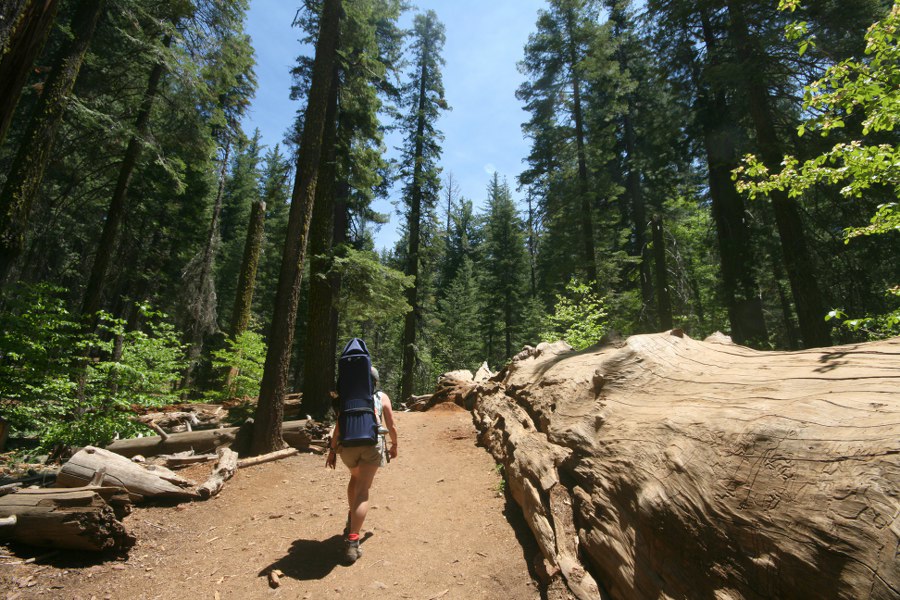 Mann ist der lang, Mann!