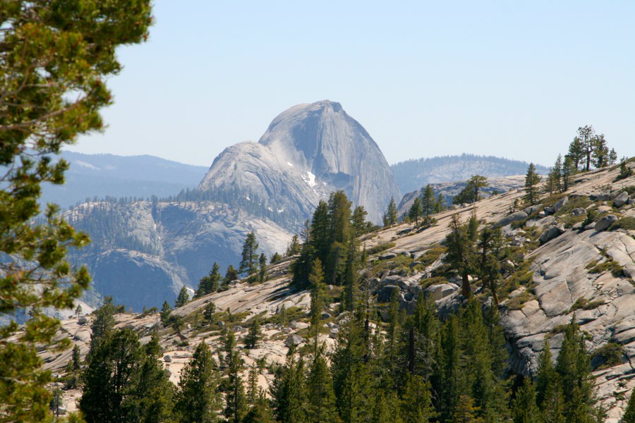 Blick von der Tioga Road auf den Half Dome (von der anderen Seite)