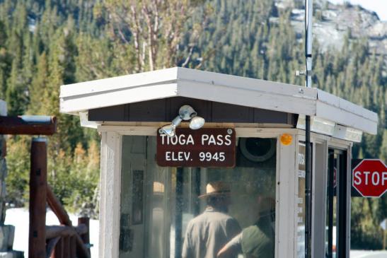 Tioga Pass