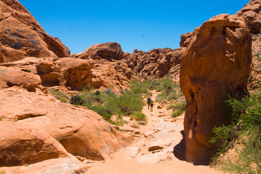 Im Valley of Fire SP - Wanderung zu Mouse´s Tank bei 45 Grad Celsius