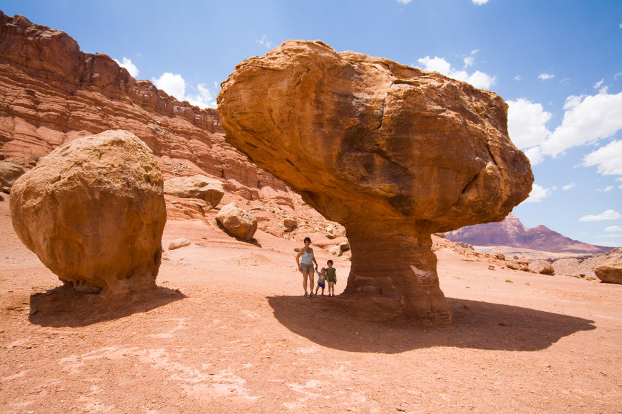 Ein riesengroßer Pilz
