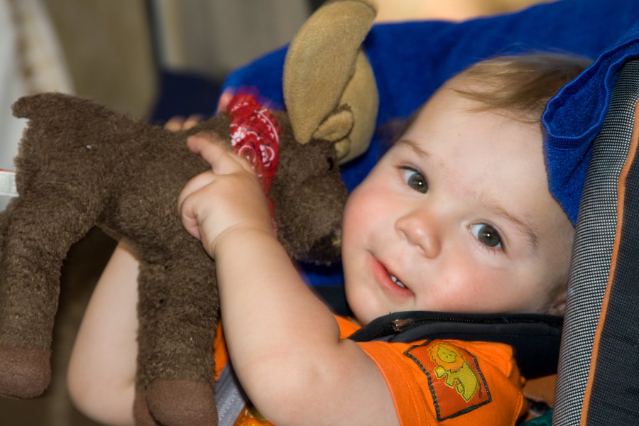 Tim knutscht seinen Elch