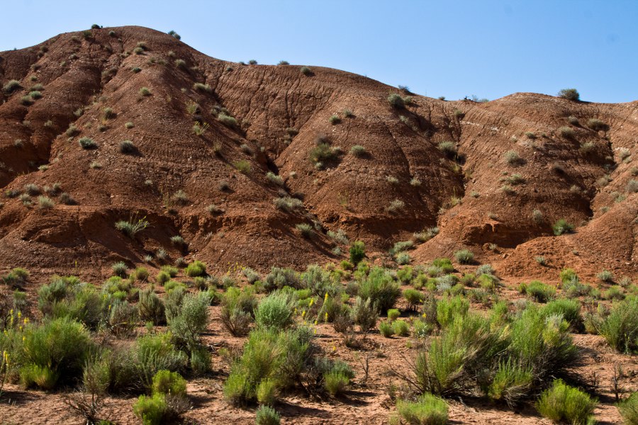 Am Rand der House Rock Valley Road