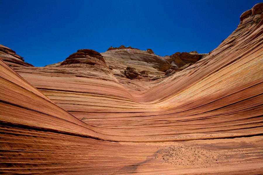 Die Wave nach hinten fotografiert