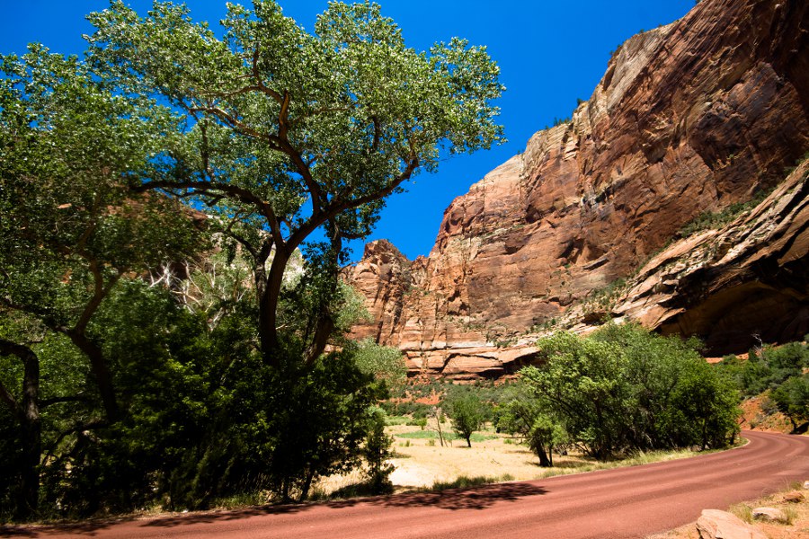 Im Zion NP