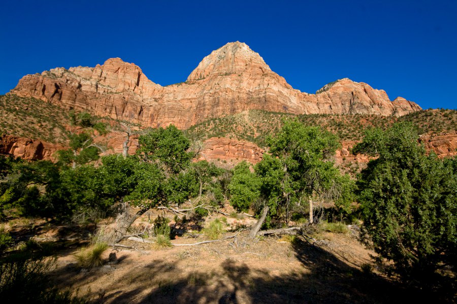 Im Zion NP